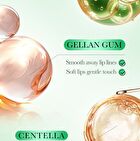 Fayankou Aloe Vera Moisturizing Soft Lip Mask - #Lip Mask