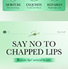 Fayankou Aloe Vera Moisturizing Soft Lip Mask - #Lip Mask