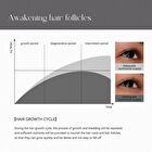 Biotin-Peptide Complex Lash Serum - 2.3ml