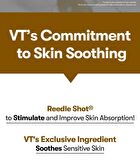 Vt Garlic AC Reedle Shot Spot Cream - 15ml
