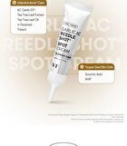 Vt Garlic AC Reedle Shot Spot Cream - 15ml