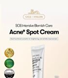 Vt Garlic AC Reedle Shot Spot Cream - 15ml