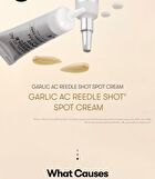 Vt Garlic AC Reedle Shot Spot Cream - 15ml