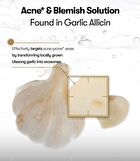 Vt Garlic AC Reedle Shot Spot Cream - 15ml