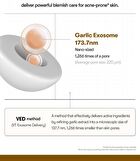 Vt Garlic AC Reedle Shot Spot Cream - 15ml