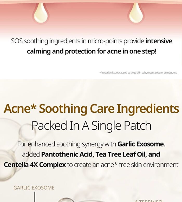 Vt Garlic AC Reedle Shot Point Patch - 9 patches