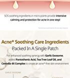 Vt Garlic AC Reedle Shot Point Patch - 9 patches