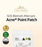 Vt Garlic AC Reedle Shot Point Patch - 9 patches
