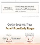 Vt Garlic AC Reedle Shot Point Patch - 9 patches