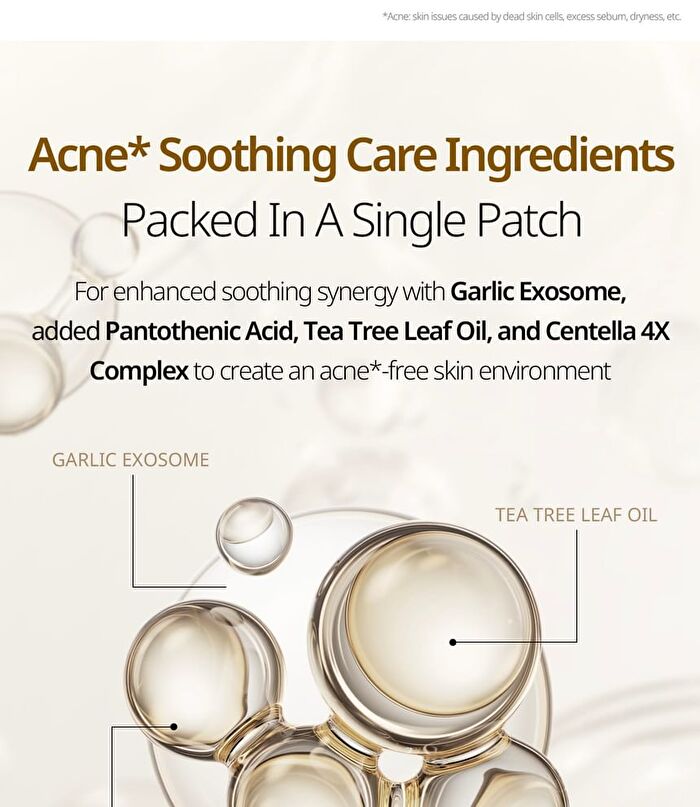 Vt Garlic AC Reedle Shot Spot Patch - 48 patches