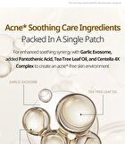 Vt Garlic AC Reedle Shot Spot Patch - 48 patches