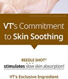 Vt Garlic AC Reedle Shot Spot Patch - 48 patches