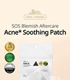 Vt Garlic AC Reedle Shot Spot Patch - 48 patches