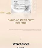 Vt Garlic AC Reedle Shot Spot Patch - 48 patches