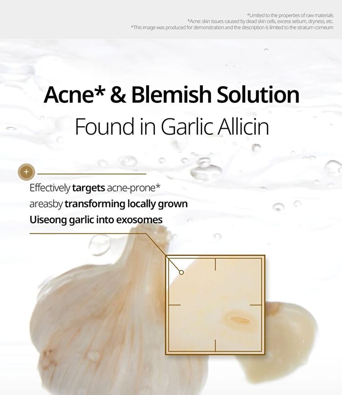 Vt Garlic AC Reedle Shot Spot Patch - 48 patches