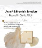 Vt Garlic AC Reedle Shot Spot Patch - 48 patches