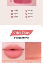 too cool for school TAG Blurring Lip Milk - 6 Colors - #05 Posh Mauve