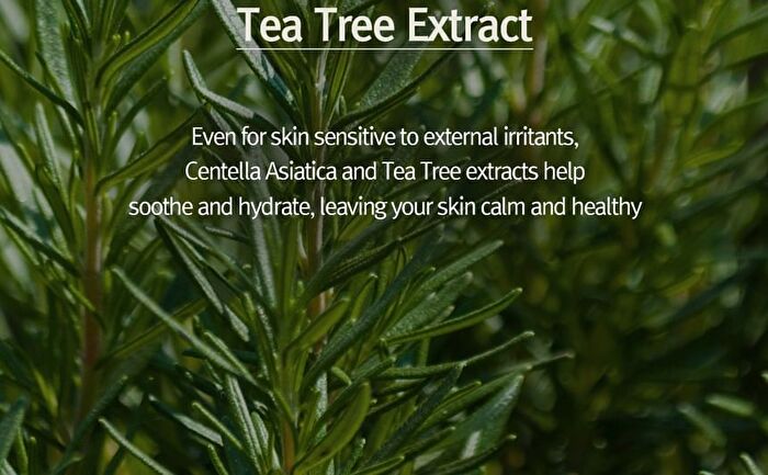 Nard Serum - 3 Types - Tea Tree Blemish Calming