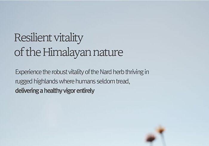 Nard Serum - 3 Types - Tea Tree Blemish Calming