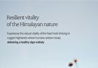 Nard Serum - 3 Types - Tea Tree Blemish Calming