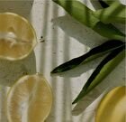 Nard Serum - 3 Types - Deep Moisturizing Hyaluronic Acid