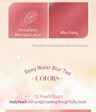 Mqny Dewy Water Blur Tint - 6 Colors - #05 Rosy Dusk