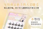 Glue-free False Eyelashes - 3 Types - #1 Korean Idol