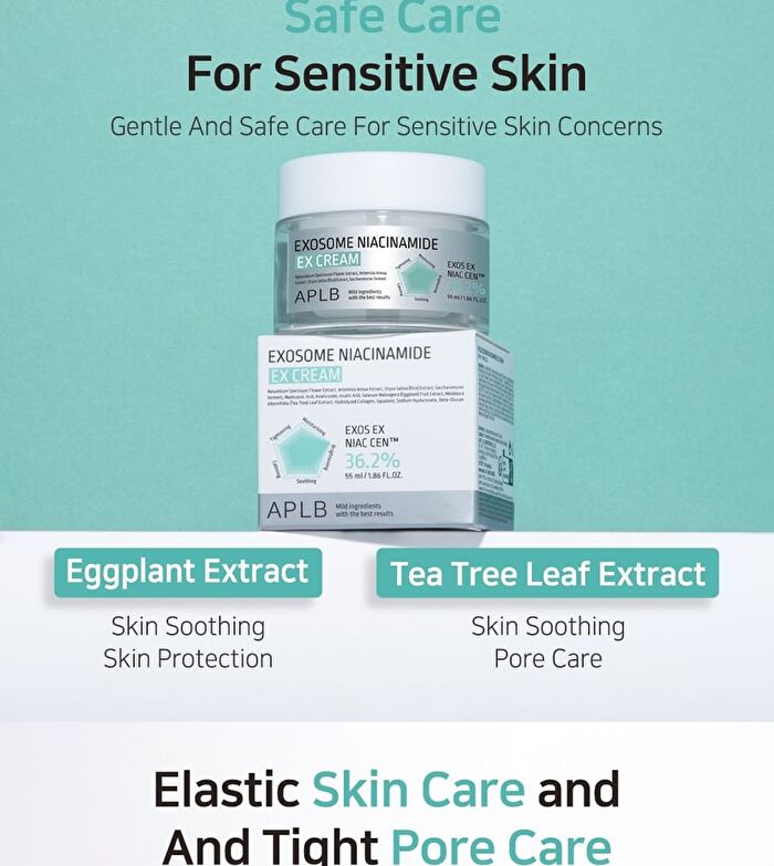 Aplb Exosome Niacinamide EX Cream - 55ml