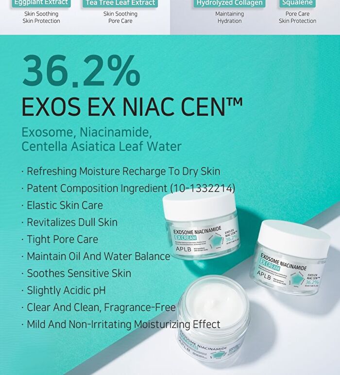 Aplb Exosome Niacinamide EX Cream - 55ml