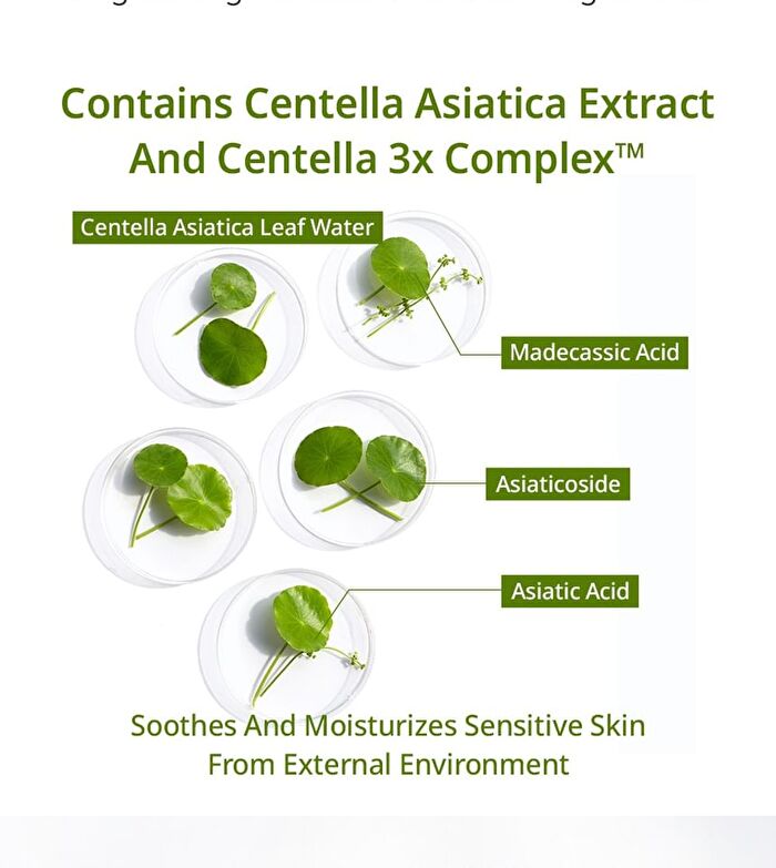 Aplb Exosome Vitamin C EX Cream Set - 2 pcs