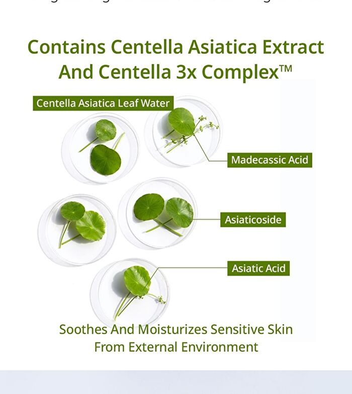 Aplb Exosome Collagen EX Cream Set - 2 pcs
