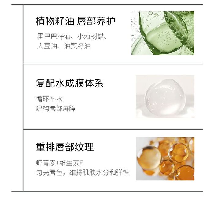 Protection Lip Balm - 2 Flavors - Camellia - 2.4g
