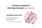 Klavuu Actress Backstage Boosting Cushion Fixing - 3 Colors - #21 Soft Ivory