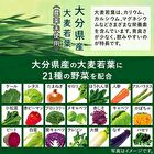 Green Juice and 21 Kinds of Vegetables - 3.3g x 20 pcs