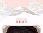 Cheerflor Brilliant Secret Series Two-Tone Frame Blush Palette - 2 Types - CFR957 Cinnamon Oolong - 6.5g