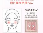 Cheerflor Brilliant Secret Series Two-Tone Frame Blush Palette - 2 Types - CFR957 Cinnamon Oolong - 6.5g