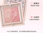 Cheerflor Brilliant Secret Series Two-Tone Frame Blush Palette - 2 Types - CFR963 Moonlight Rose - 6.5g