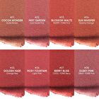 Lip Clay Pen (5-8) - #06 Rosy Fountain - 2.3g