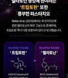 Planted-Based Melatonin 2mg Easy-Night Triple Complex - 500mg x 90 tablets