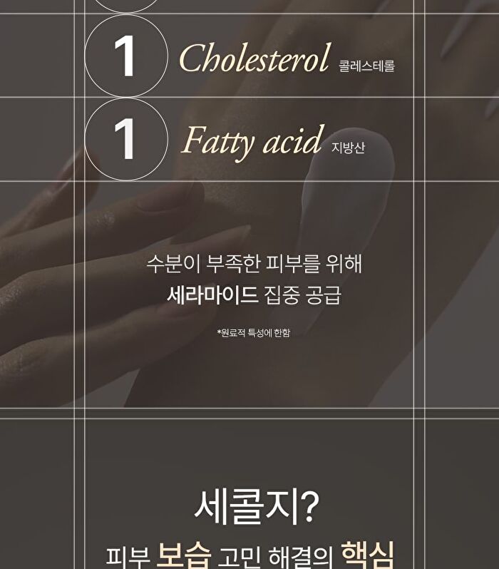 Petitfee koelf Perfumed Hand Cream - 3 Types - Spilled Lust
