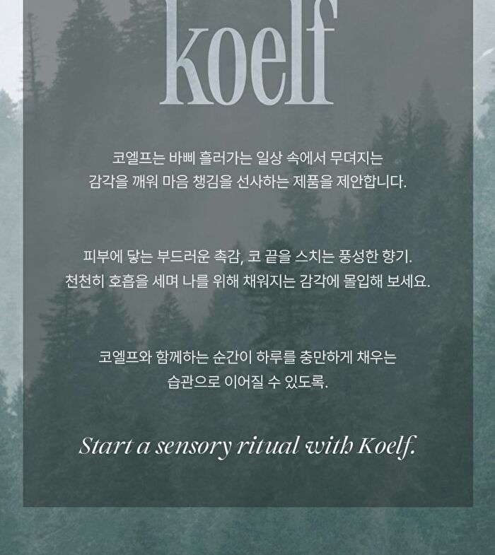 Petitfee koelf Perfumed Hand Cream - 3 Types - Spilled Lust