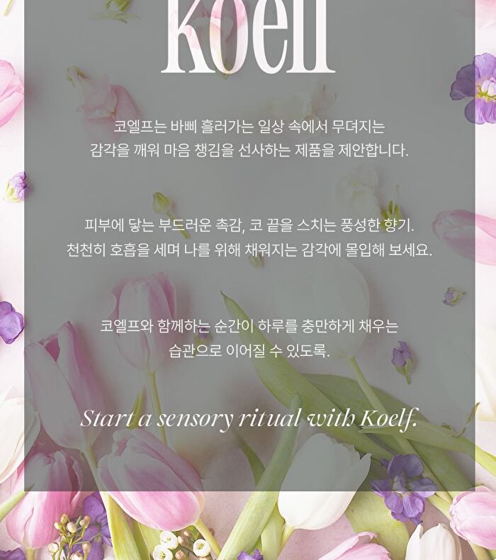Petitfee koelf Perfumed Hand Cream - 3 Types - Spilled Lust