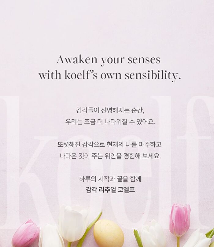 Petitfee koelf Perfumed Hand Cream - 3 Types - Tulip At Dawn