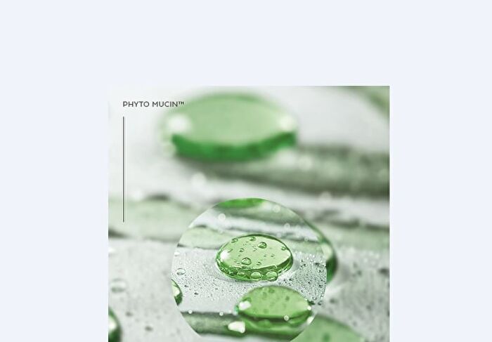 Layering Fit Pine Phyto Mucin Serum Cushion - 2 Colors - Cocoon