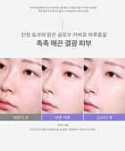 Layering Fit Pine Phyto Mucin Serum Cushion - 2 Colors - Cocoon