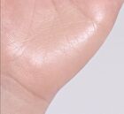 Layering Fit Pine Phyto Mucin Serum Cushion - 2 Colors - Cocoon