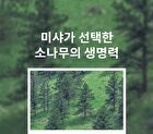 Layering Fit Pine Phyto Mucin Serum B.B Cream - 2 Colors - Bran