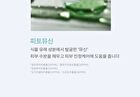 Layering Fit Pine Phyto Mucin Serum B.B Cream - 2 Colors - Bran
