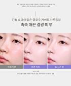 Layering Fit Pine Phyto Mucin Serum B.B Cream - 2 Colors - Bran