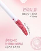 Ballet Style Mirror Lip Gloss - 6 Colors - 106# Chestnut Jelly - 8g
